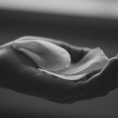 pregnancy loss, pregnancy loss therapy, infertility counseling, infertility counseling, miscarriage therapy